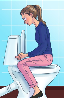 icon - sitting backwards on toilet